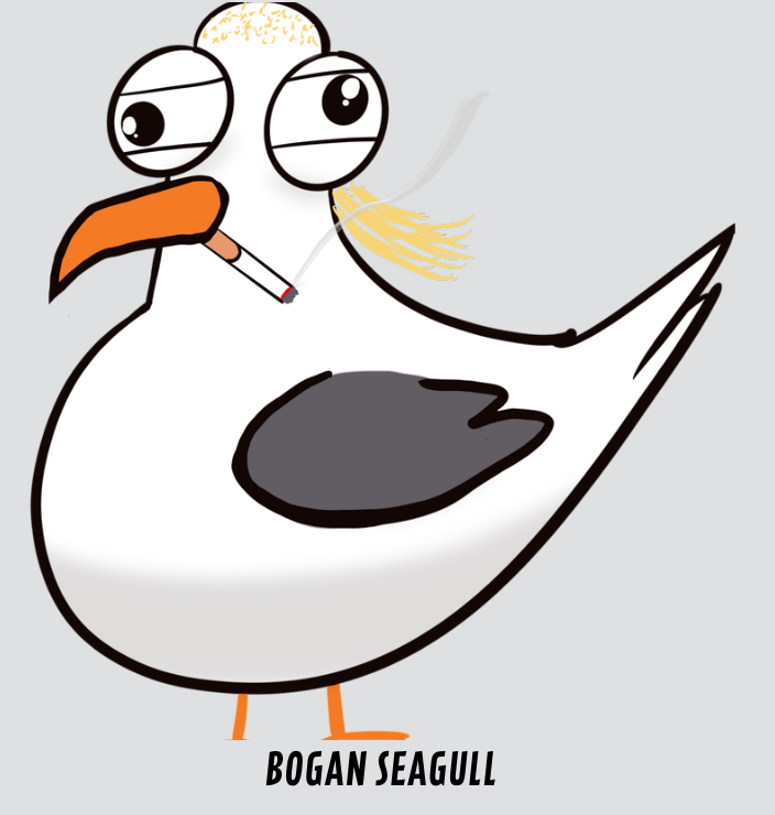 Bogan Seagull.png